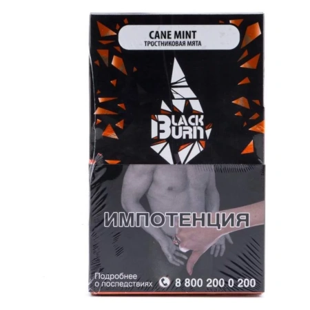 Табак для кальяна Black Burn – Cane Mint 100 гр.