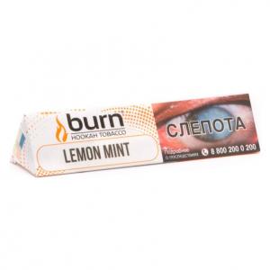 Табак для кальяна Burn – Lemon Mint 25 гр.
