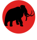 COCO MAMMUT