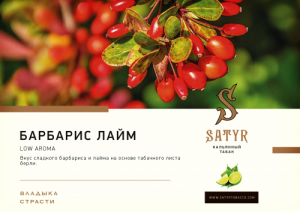 Табак для кальяна Satyr – Barbery-Lime 25 гр.