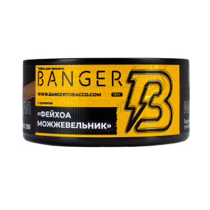 Табак для кальяна Banger – Evergreen 100 гр.