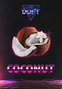 Табак для кальяна Duft – Coconut 100 гр.