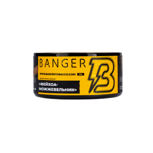 Табак для кальяна Banger – Evergreen 25 гр.