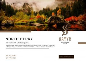 Табак для кальяна Satyr – North Berry 25 гр.