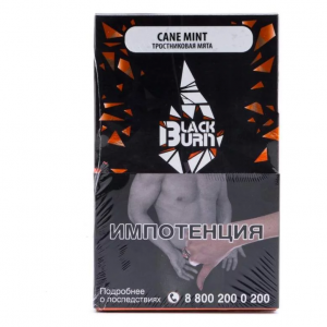 Табак для кальяна Black Burn – Cane Mint 100 гр.