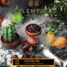 Табак для кальяна Element Воздух – Cactus Fig 40 гр.