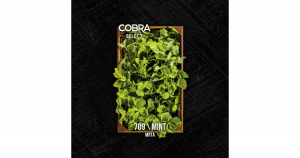Табак для кальяна Cobra Select – Mint (Мята) 40 гр.