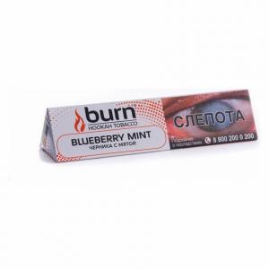 Табак для кальяна Burn – Blueberry Mint 25 гр.