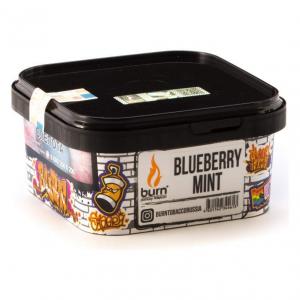 Табак для кальяна Burn – Blueberry Mint 200 гр.