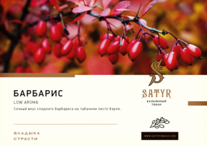 Табак для кальяна Satyr – Barberry 25 гр.