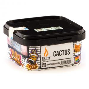 Табак для кальяна Burn – Cactus 200 гр.