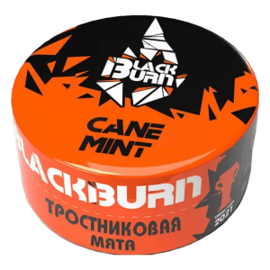 Табак для кальяна Black Burn – Cane Mint 25 гр.