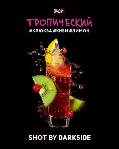 Табак для кальяна Darkside Shot – Тропический 30 гр.