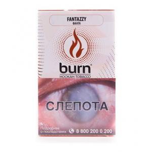 Табак для кальяна Burn – Fantazzy 100 гр.