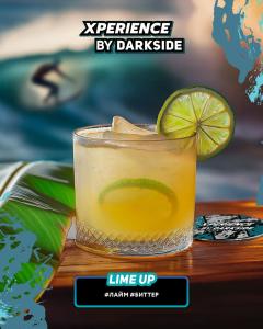 Табак для кальяна Darkside XPERIENCE – LIME UP 30 гр.