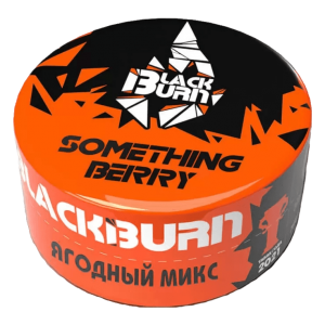 Табак для кальяна Black Burn – Something Berry 25 гр.