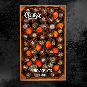 Табак для кальяна Cobra La Muerte – Opuntia (Опунция) 40 гр.