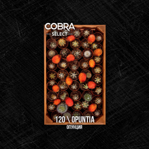 Табак для кальяна Cobra Select – Opuntia (Опунция) 40 гр.