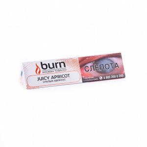 Табак для кальяна Burn – Juicy Apricot 25 гр.