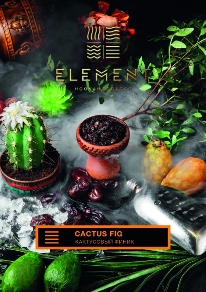 Табак для кальяна Element Земля – Cactus Fig 200 гр.