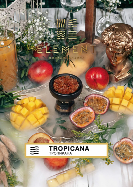 Табак для кальяна Element Земля – Tropicana 200 гр.