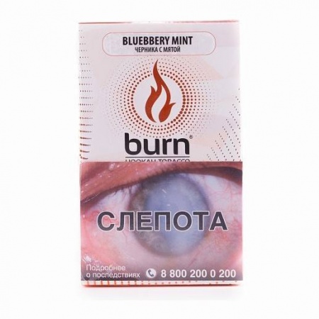 Табак для кальяна Burn – Blueberry Mint 100 гр.