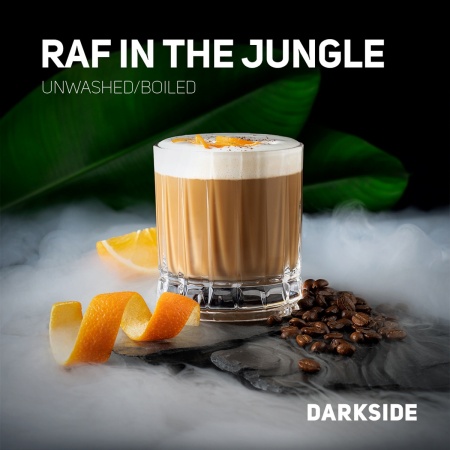 Табак для кальяна Darkside Core – Raf In The Jungle 30 гр.