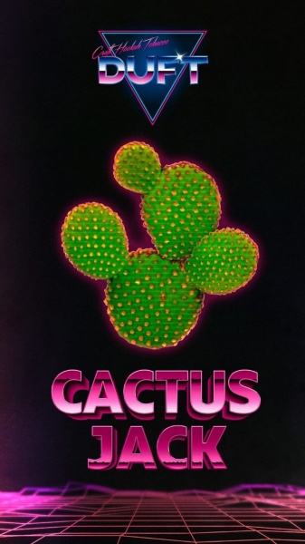 Табак для кальяна Duft – Cactus Jack 100 гр.