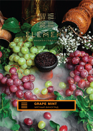 Табак для кальяна Element Земля – Grape Mint 40 гр.