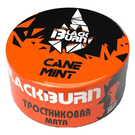 Табак для кальяна Black Burn – Cane Mint 25 гр.