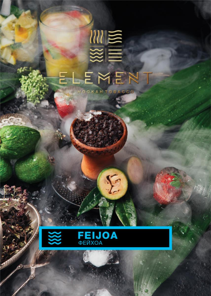 Табак для кальяна Element Вода – Feijoa 100 гр.
