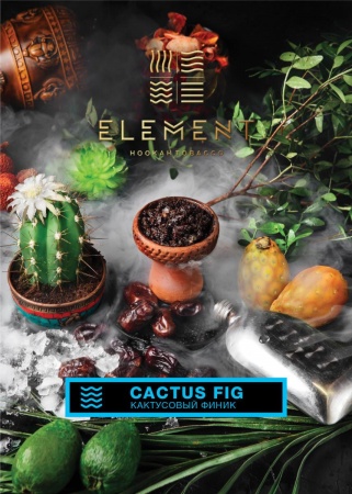 Табак для кальяна Element Вода – Cactus Fig 200 гр.