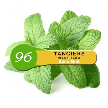Табак для кальяна Tangiers (Танжирс) Noir – Cane Mint 100 гр.
