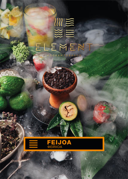 Табак для кальяна Element Земля – Feijoa 40 гр.