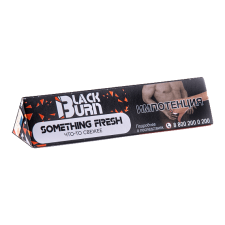 Табак для кальяна Black Burn – Something Fresh 25 гр.