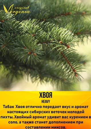 Табак для кальяна Original Virginia Original – Хвоя 200 гр.